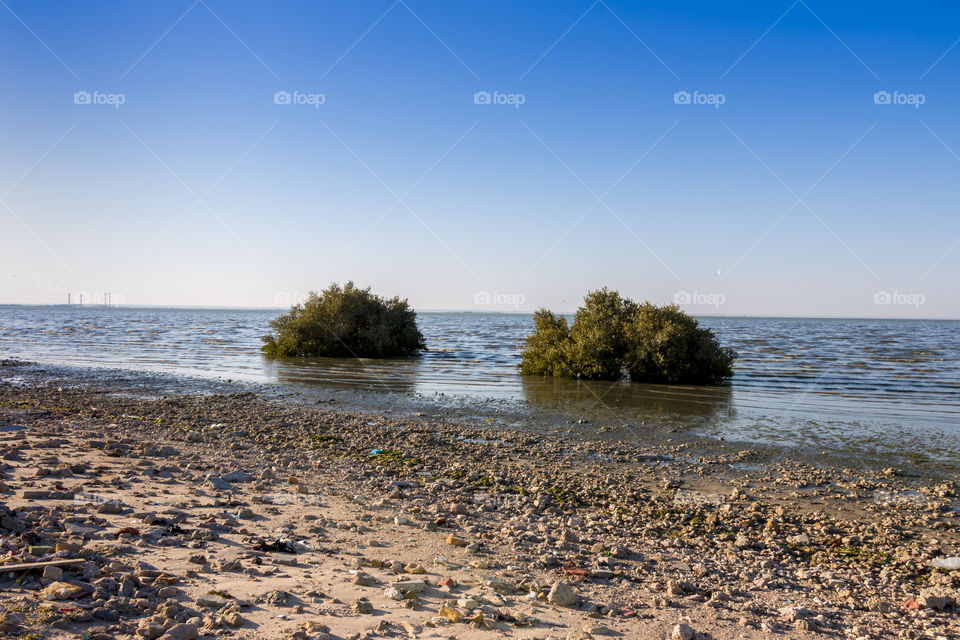 Scenic view of beach