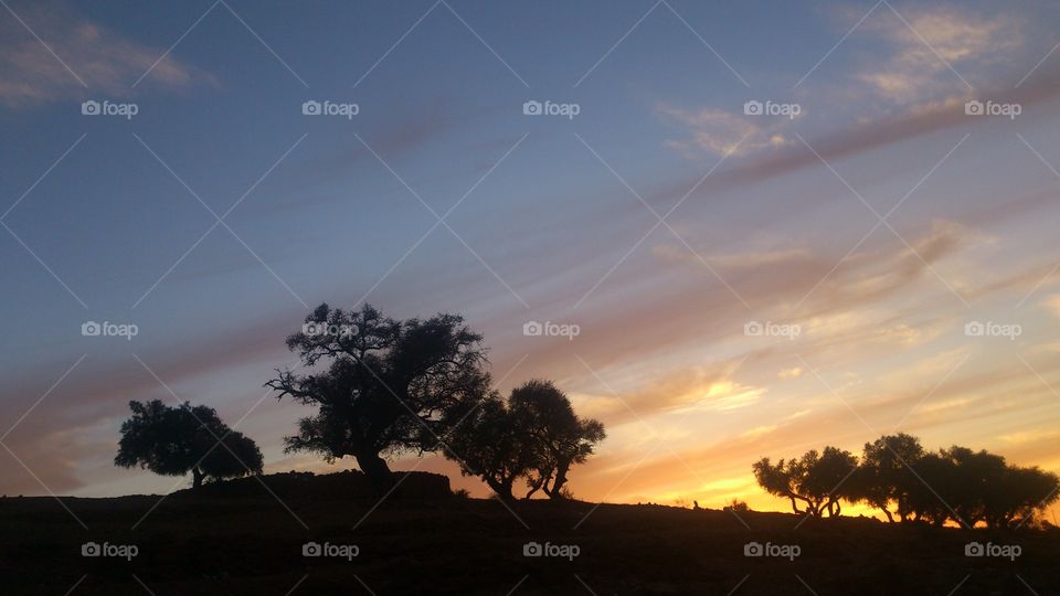 sunset on the road