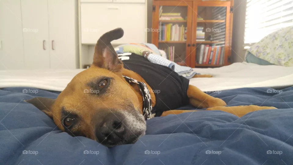 Bedtime