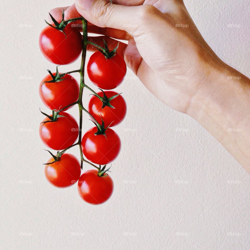 Fresh red tomatoes branch in hand