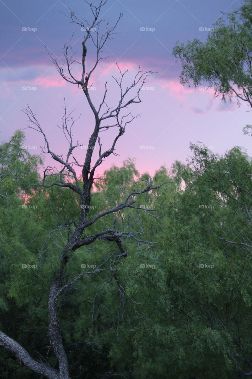 West Texas sunset. Sunset in west Texas