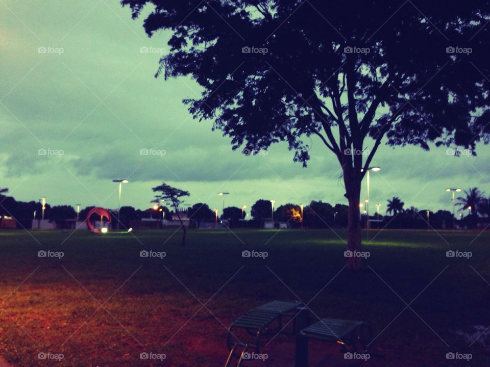 Taquaritinga - Brazil -- Park