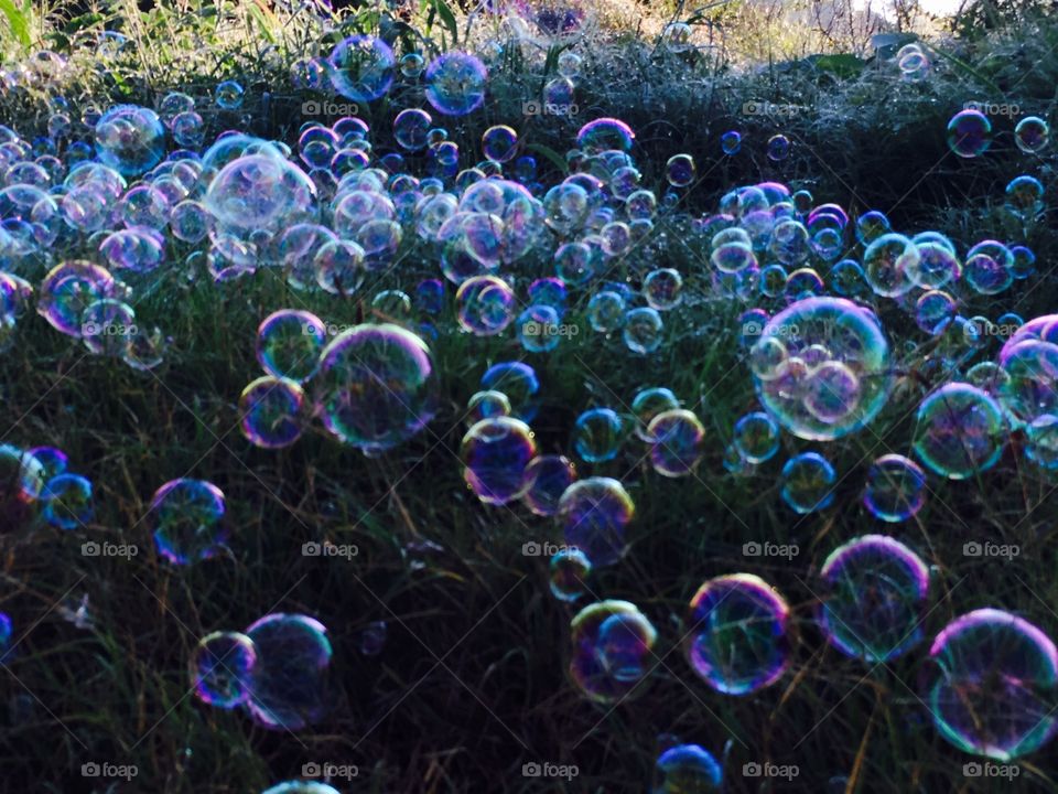 Morning bubbles