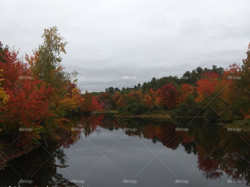 Maine's fall foliage
