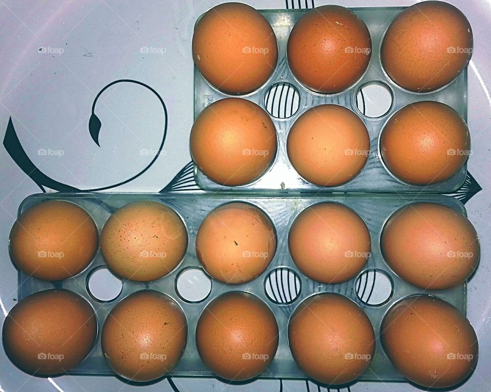 Chicken Eggs closeup shot photo