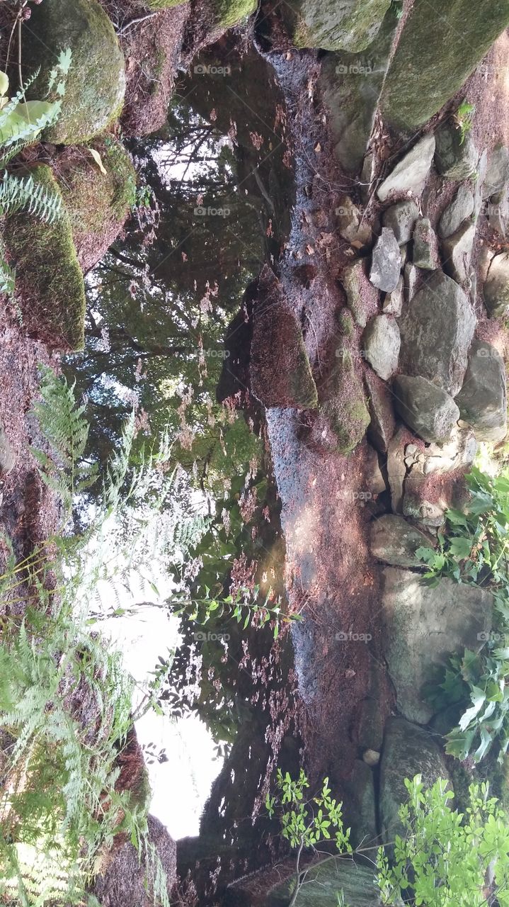 sparkle reflect on water