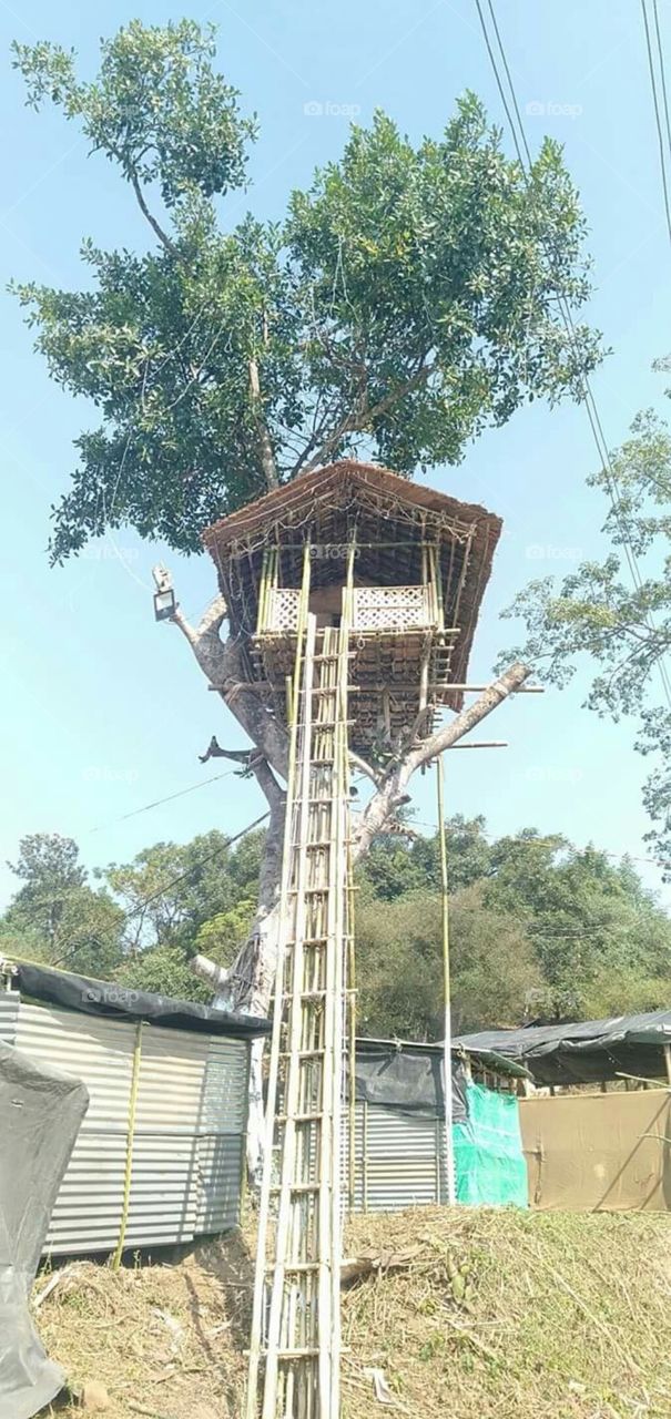 Bamboo house on the tree