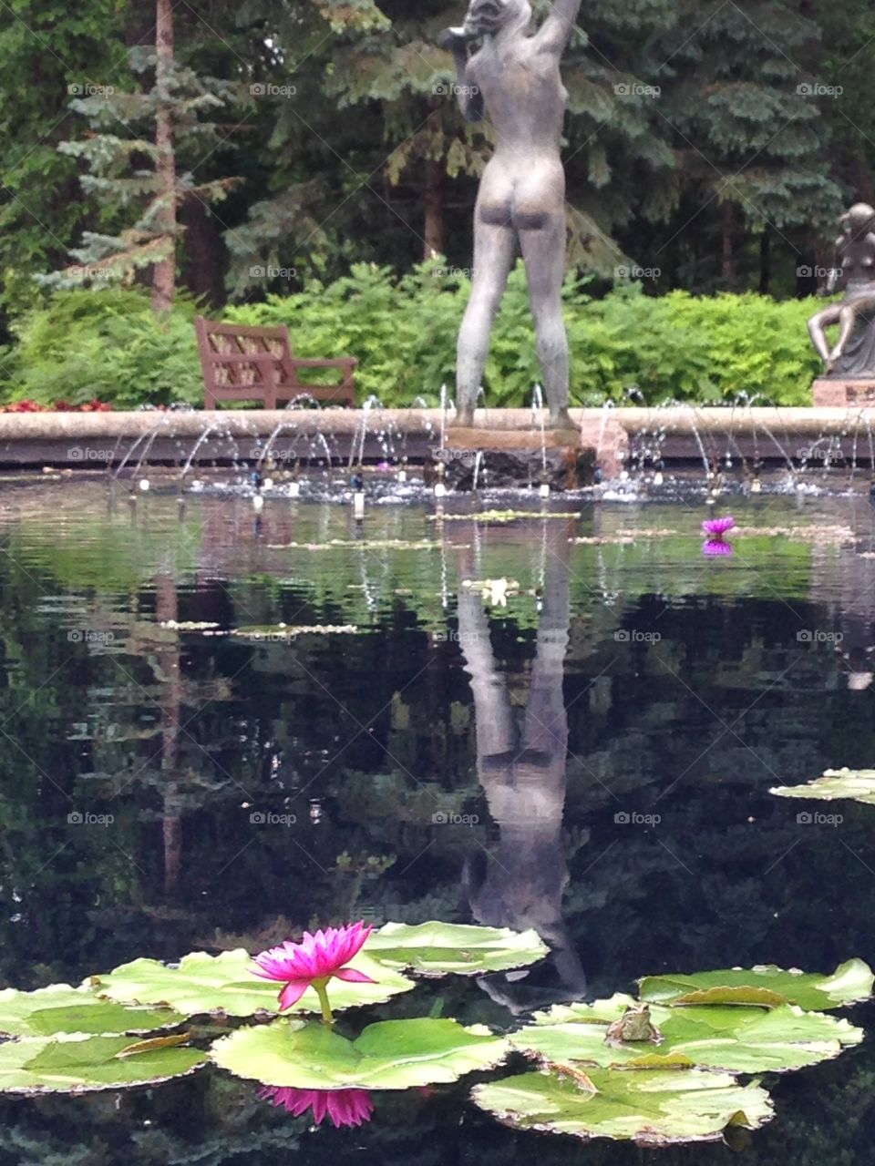Lotus flower shadowing a woman's reflection in a pond