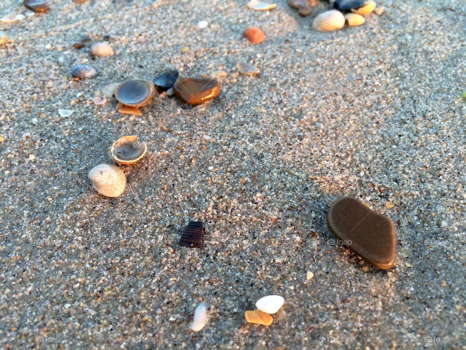 Shells and stones on a beach
