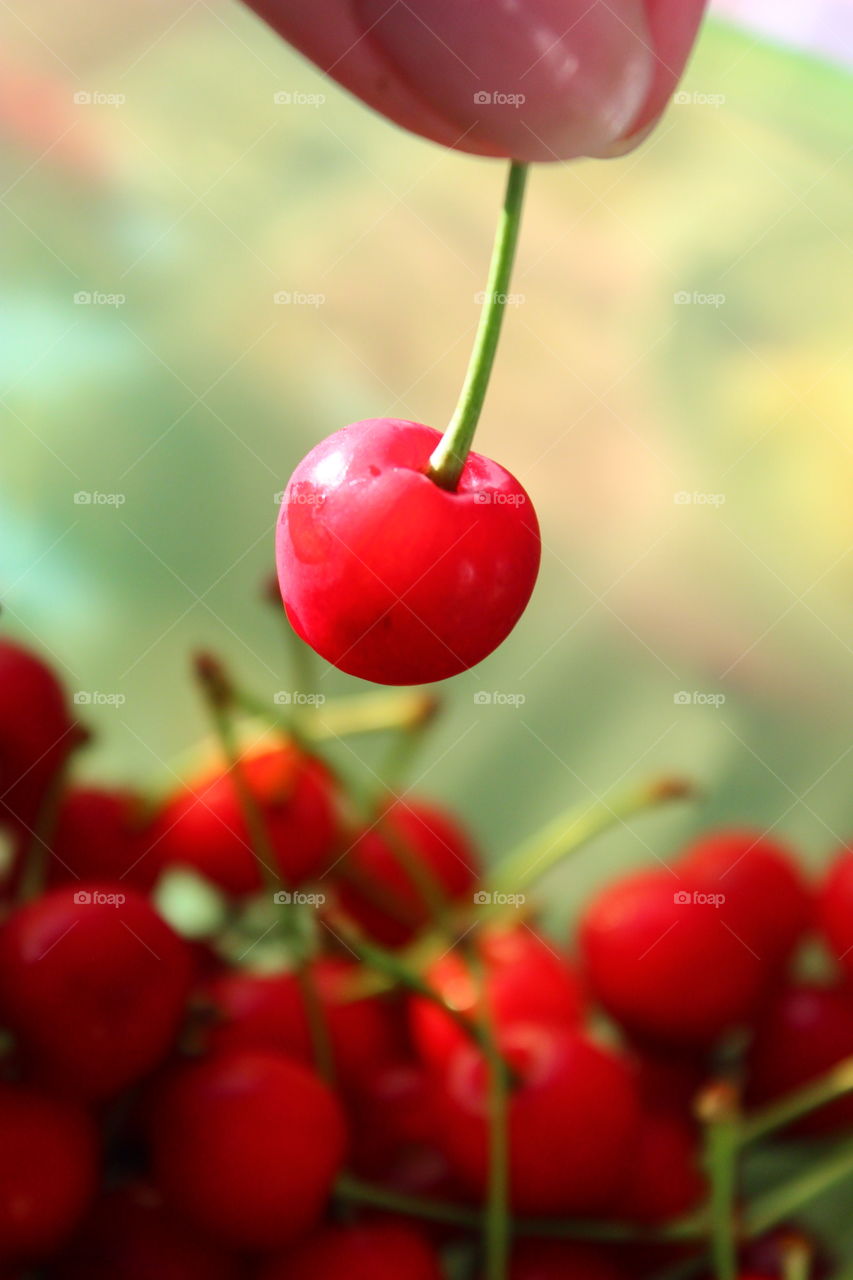 macro shot berry