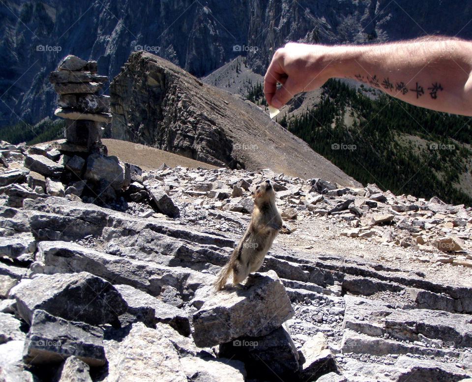 mountain stones canada rocks by lagacephotos