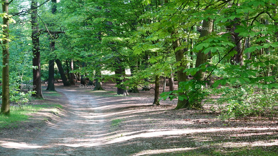 Springtime in the park in Antwerp, Belgium.
