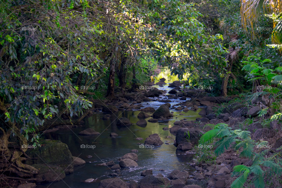 Lazy Tropical River