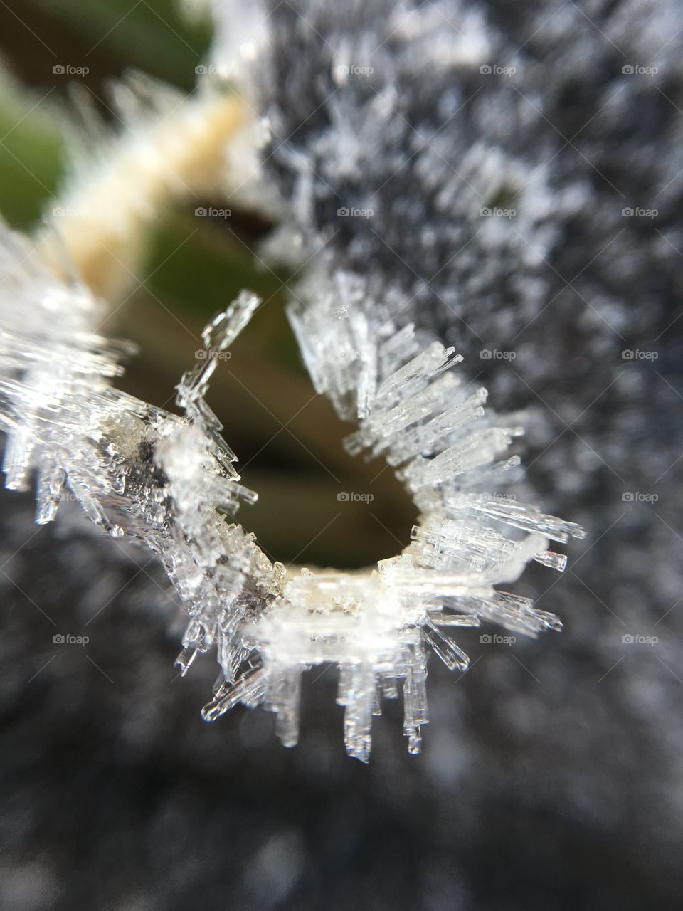 Close-up of icicles