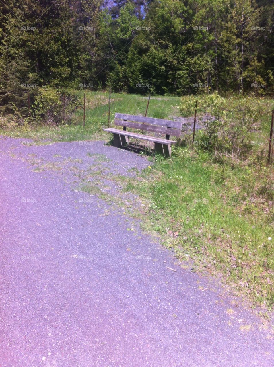 Banc dans les bois