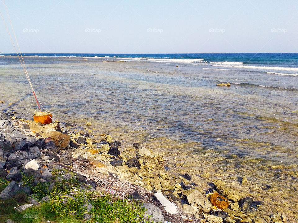 The reef Roatan