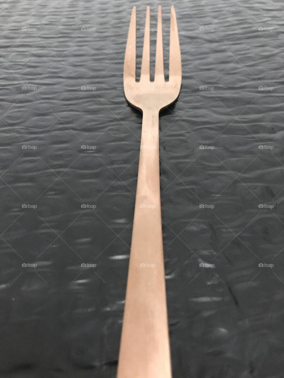 Fork 