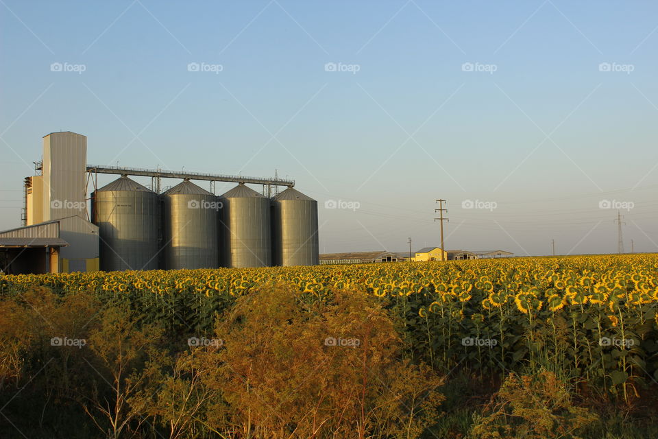 No Person, Agriculture, Industry, Outdoors, Sky