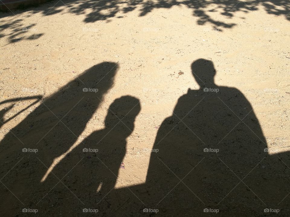 shadow familly