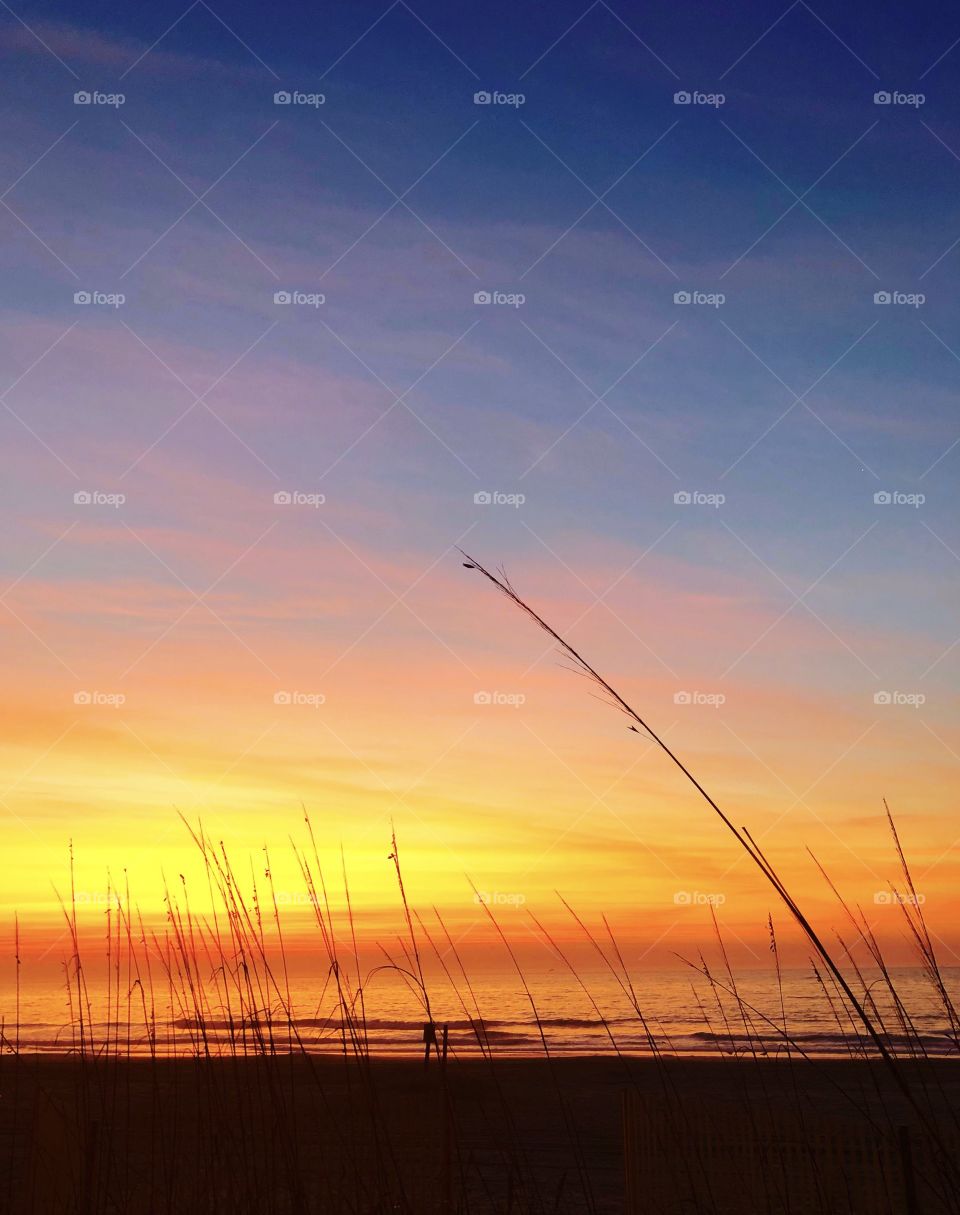 Sunrise through the dunes at Myrtle Beach South Carolina. 