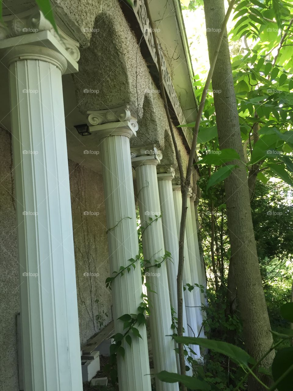 Columns