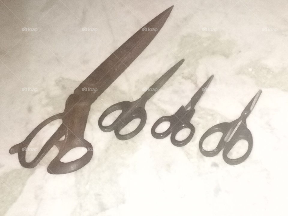 Beautiful scissors
