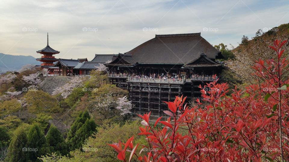 Kiyomizu-dera Temple in Kyoto, Japan