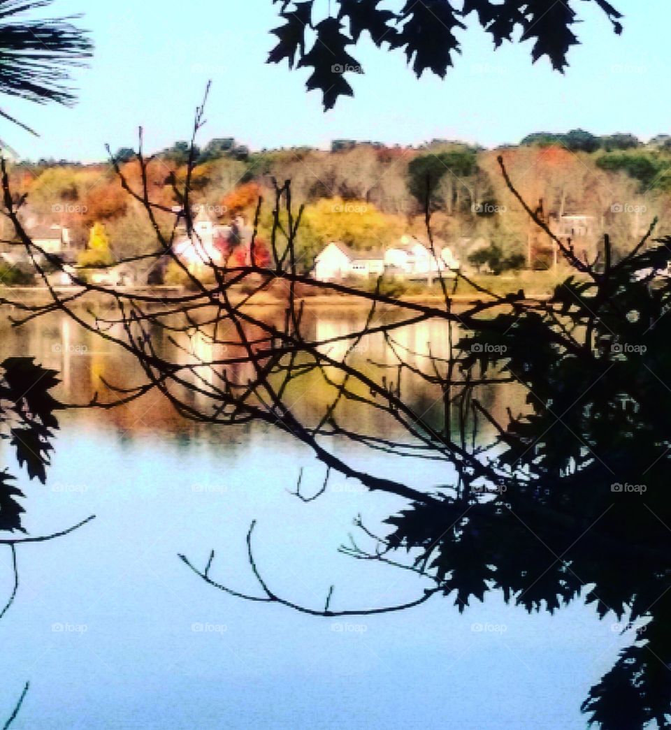 Seeing through the Looking Glass