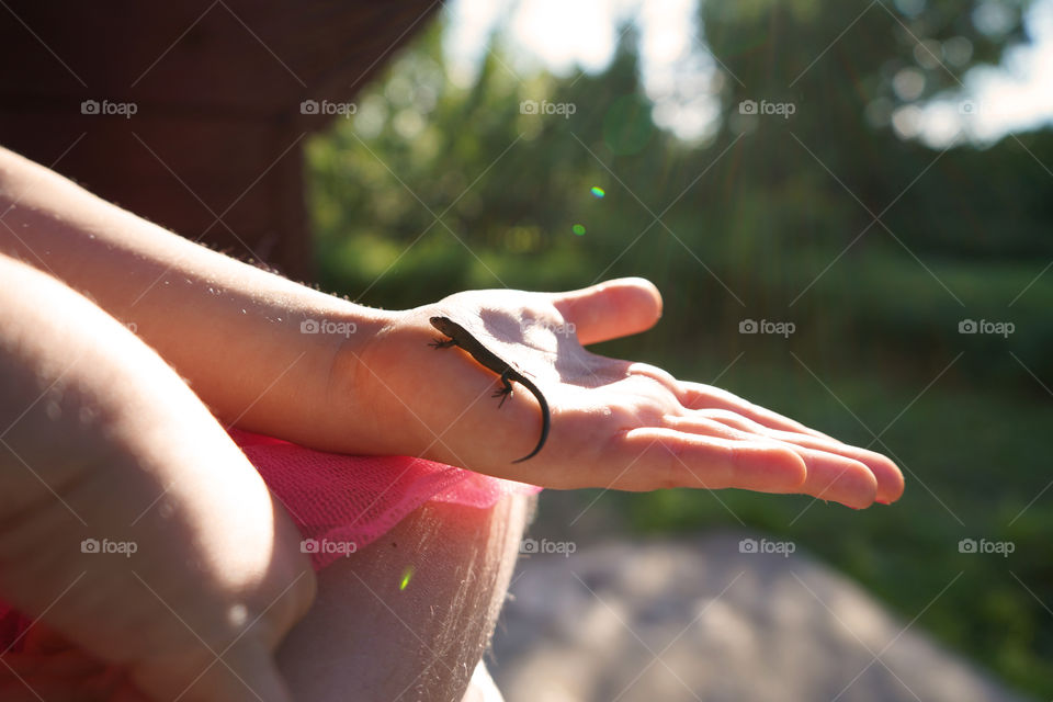 small baby lizard on the child hand in the summer sunset