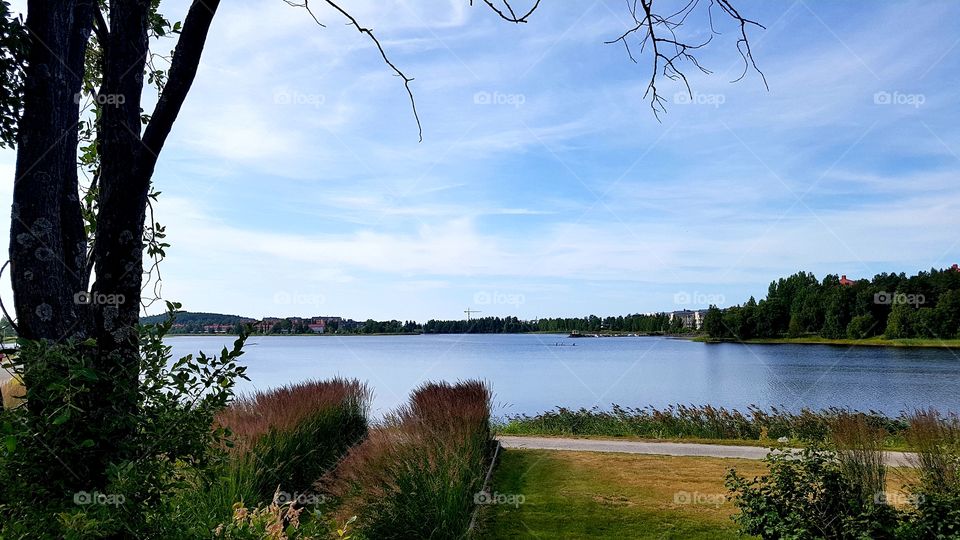 wiew from the parkland