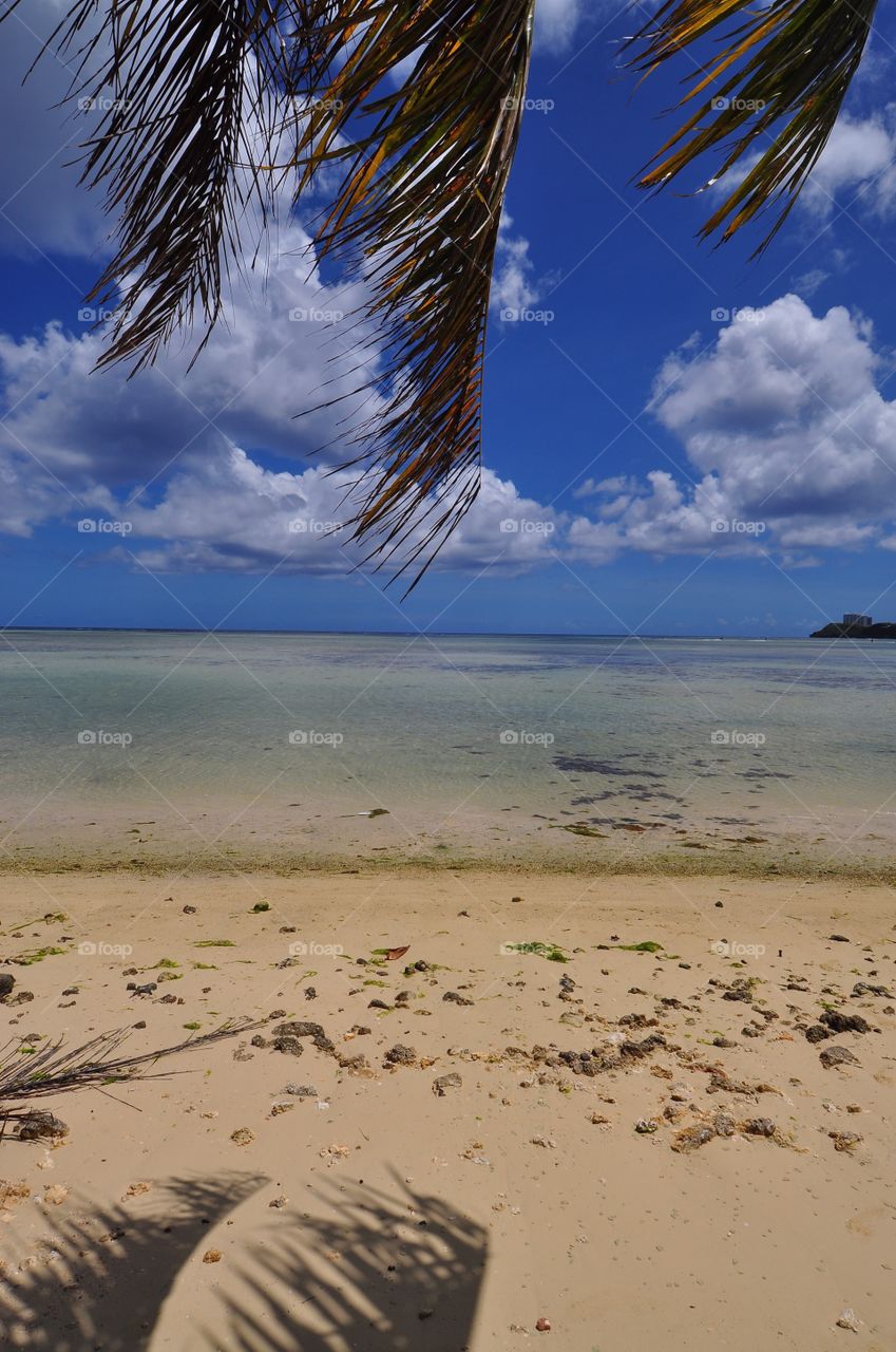 No Person, Beach, Sand, Water, Travel