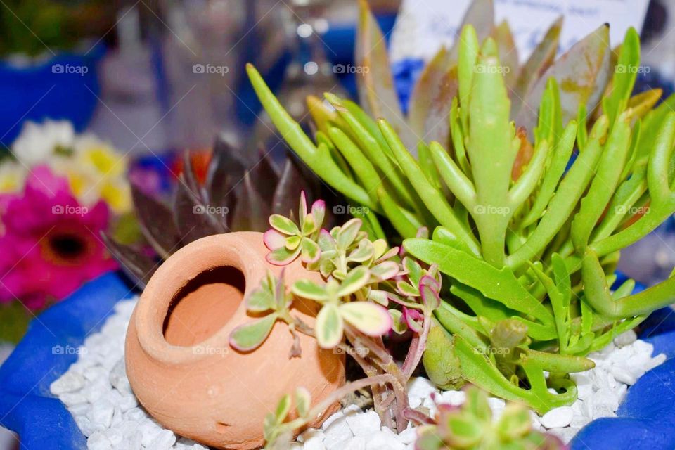 Best shot fir wedding day😇