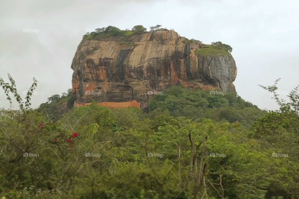 Close up snap #Sigiriya