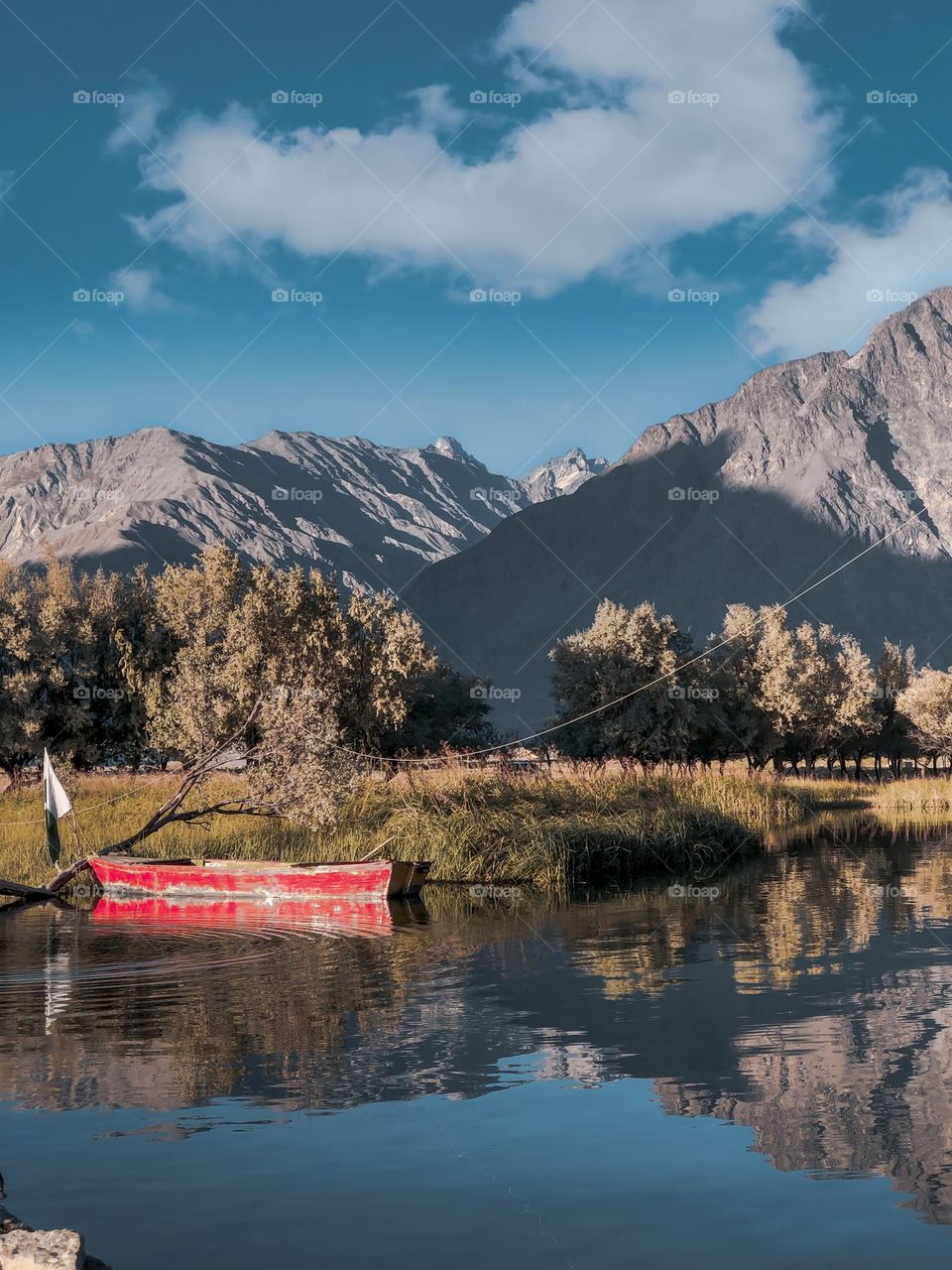 Calm waters can be the dangerous ones💯