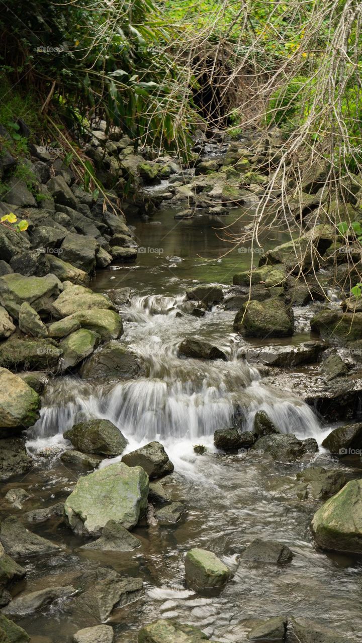 Small waterfall in New Zealand