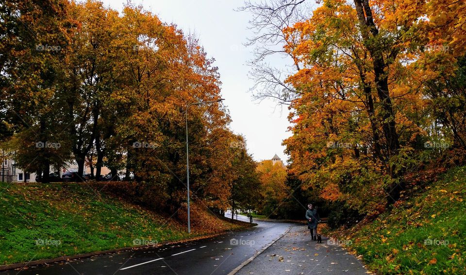 Autumn walking 🍂🍁 Outdoor 🍂🍁Fall vibe 🍂🍁