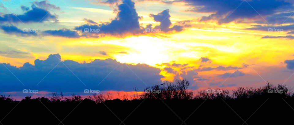 The silhouette of a grassy pasture in the setting sun