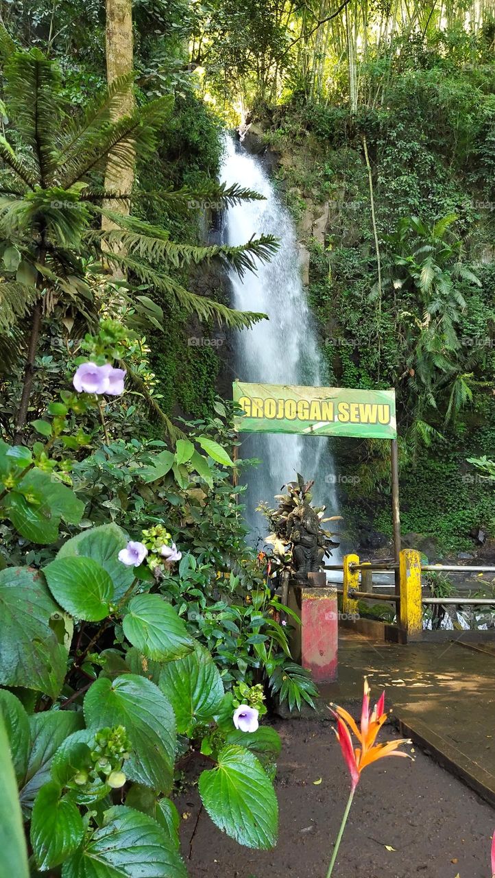 menuju air terjun pujon