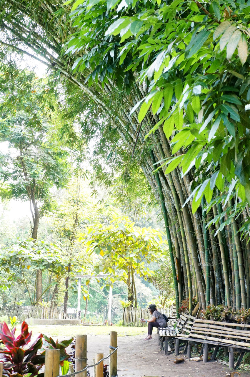 Under the Bamboos. This girl is relaxing under the bamboos in Lake Sebu, Philippines.
