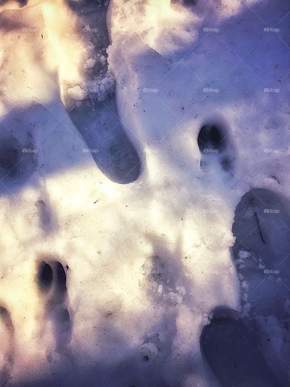 Human and deer tracks...