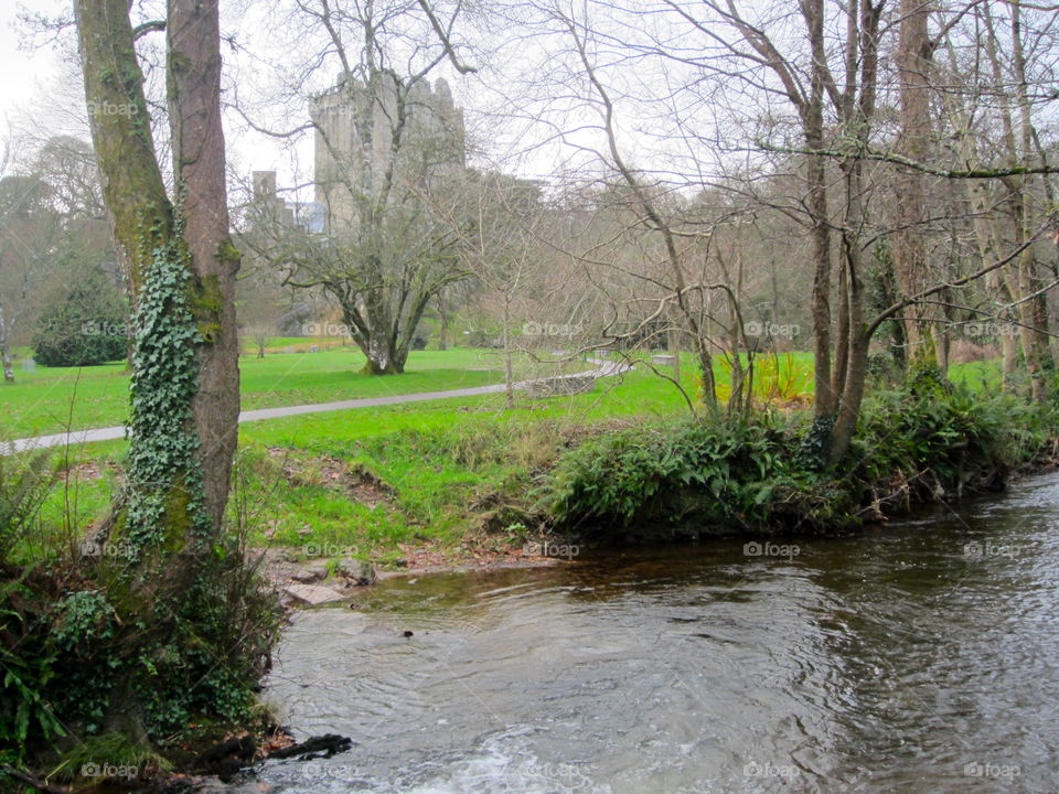 Landscape, Nature, Water, Tree, River