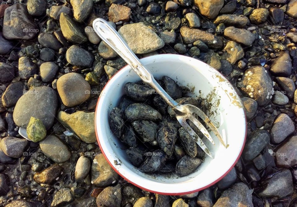 a bowl full of muscles after they were dug up oceanside