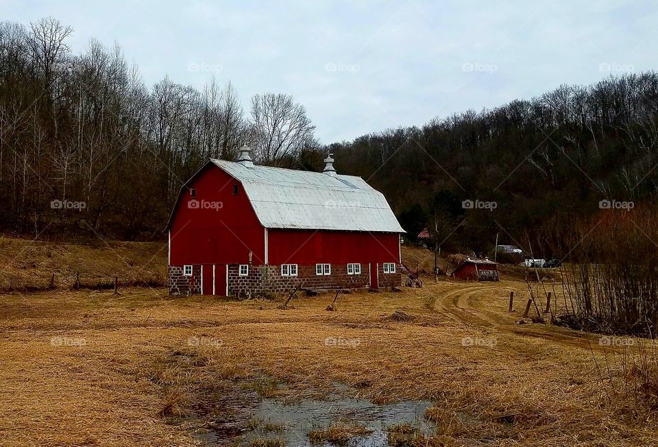 View of barn in forest