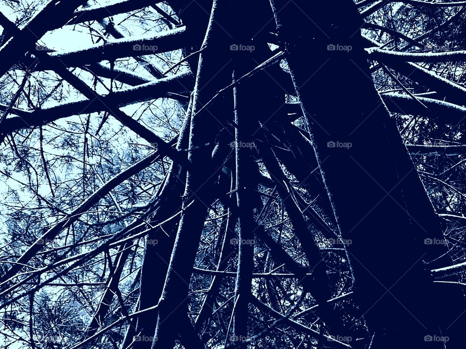 Life is a climb museum of art.