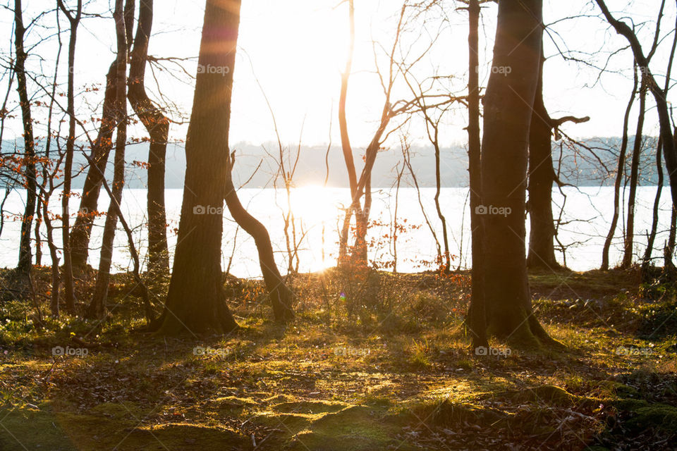 Sunset at lake Starnberg