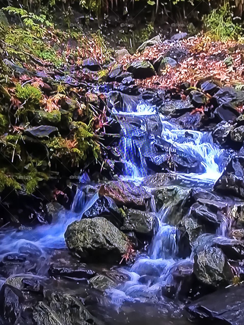 Spring falls from above
