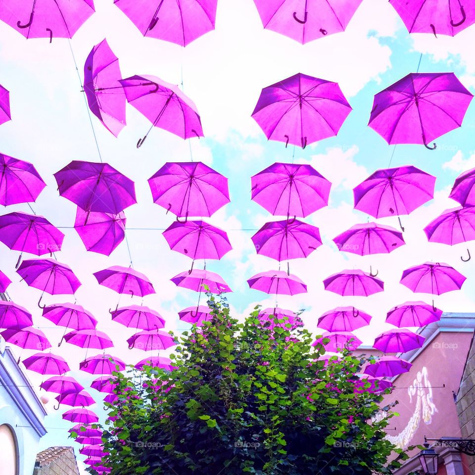 Umbrellas 