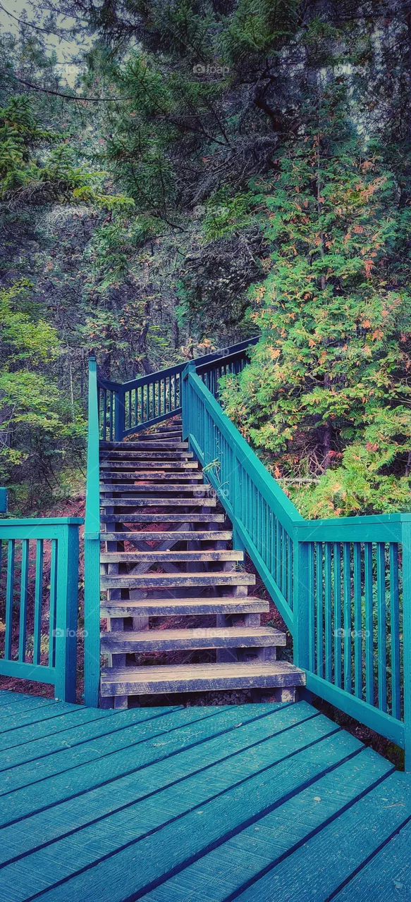 Autumn mood