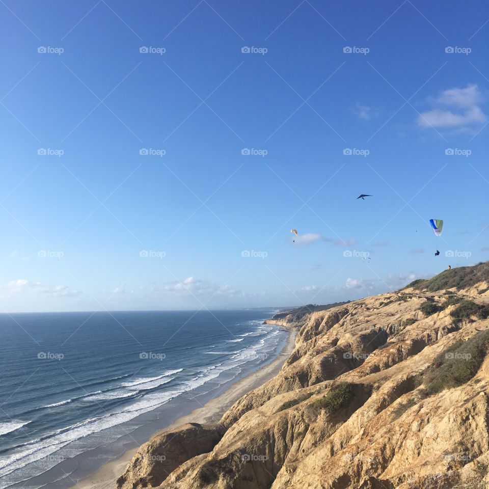 Paragliders