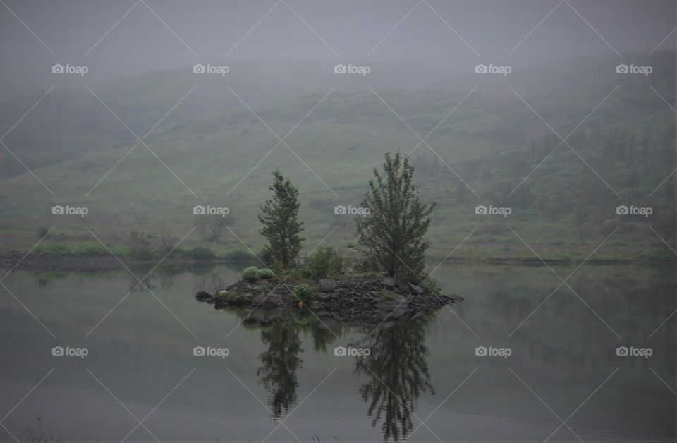 An island in the fog